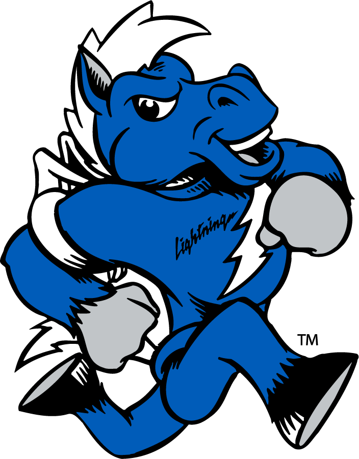 Middle Tennessee Blue Raiders 2015-Pres Mascot Logo DIY iron on transfer (heat transfer)